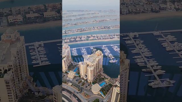 Palm Jumeirah view swimming pool 🇦🇪 #dubai