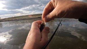 МОРМЫШИНГ НА ПАХРЕ. ПОЙМАЛИ ПОЧТИ ВСЕХ