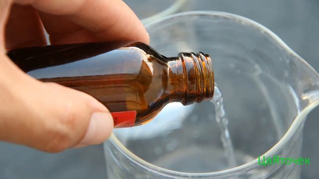 Нашатырный спирт для комнатных растений