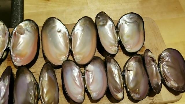Простое приготовление беззубок и перловиц