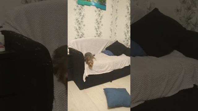 Электро веник смотреть онлайн