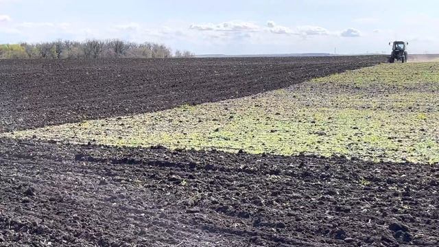 МТЗ-82 ДВС смд-22 с культиватором КПЭ-3.8(РАЗИНЬЯ) смотреть онлайн