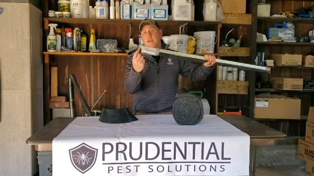 Replacing Door Seals to STOP mice смотреть онлайн