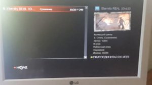 Что делать если вы скачали L4D2 и нажали запустить, но она не запускается