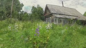 Ещё недавно тут жили люди.Заросшая дорога привела нас сюда.Забытый край