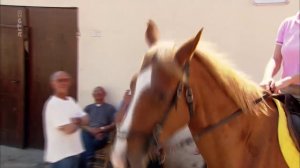 360 Geo - La Sardaigne des hommes et des chevaux