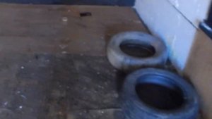 Поймать КРЫСУ. How to catch a rat, a mouse.