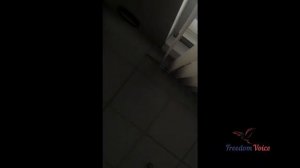 Згуладзе Ека