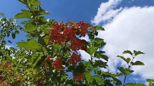 18 сентября народный праздник ЗАХАРИЙ И ЕЛИЗАВЕТА. народные приметы и традиции