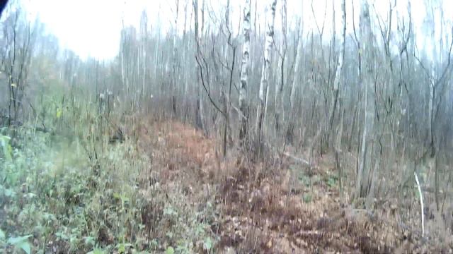 с Настей на древнее городище. смотреть онлайн