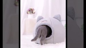 Лежанка для кошек