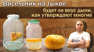 Настойка на тыкве и спирте /Рецепт методом "висельник" и прямой настой, будет ли аромат дыни?