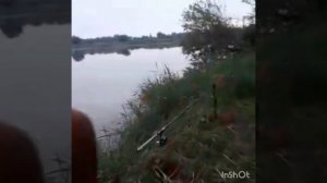 Рыбалка в КБР.  Трофейные Карпы. Благовещенка.