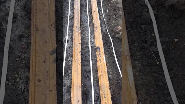 ???ПОСЕВНАЯ МОРКОВИ И СВЕКЛЫ ???САЖАЕМ МОРКОВЬ ЛЕНТОЙ??? смотреть онлайн