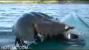 что за существо нашли в реке КАМА.