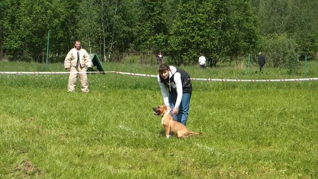 Большой ринг, Чертаново, 29.05.10 г, 1-2 этап, Терра