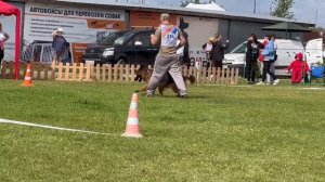 ПП 314 ГЕРДА со Снежных Гор / Моно немецких овчарок ПК БРОННИЦЫ 10.08.2024