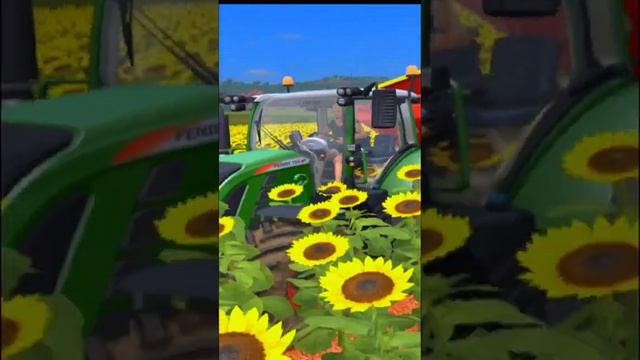 Sunflower Flitlizing Tips and Tricks for Farming Simulator 17