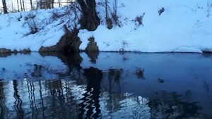 Экологическая катастрофа в Детчино