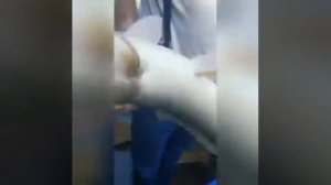 ловля сазана на Мидию