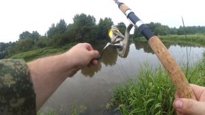 рыбалка на реке Шерна