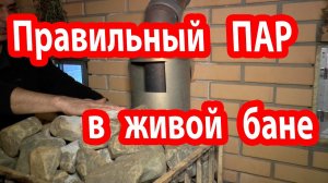 Вентиляция в бане.  Движение паровоздушных смесей в живой бане.