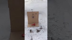 карабин тигр 308 win