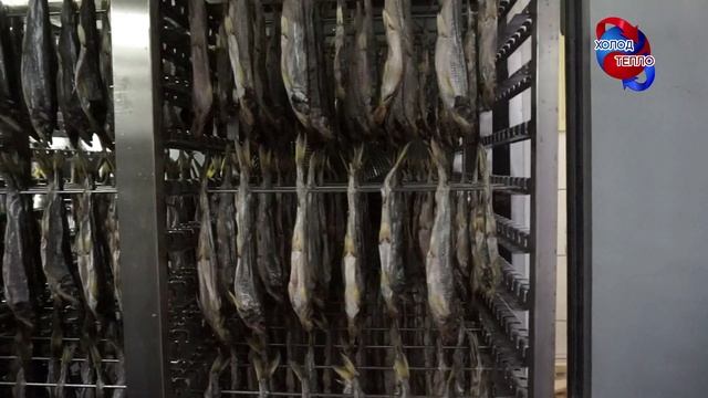 Сушильная камера для мяса.