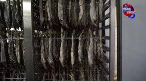 Описание процесса конденсационной сушки. Разбор работы камеры сушки в замкнутом цикле.