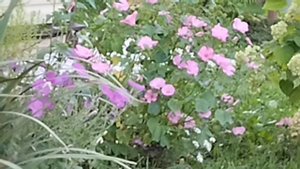 Вот и осень Господа, вот и Осень!