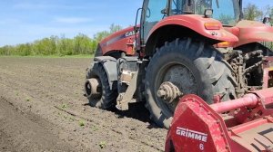 Окучивание картофеля, сорт Коломба.