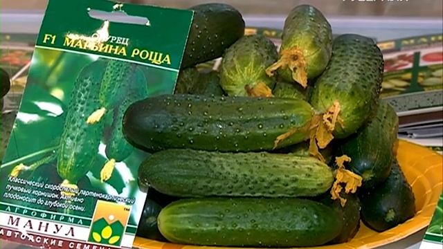 Какие семена долго сохраняют всхожесть?