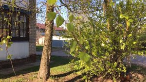 Смерть побеждающий, вечный закон - это Любовь моя