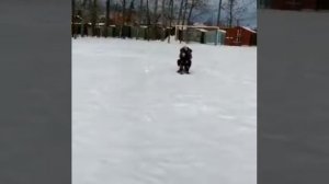 Детский снегокат с мотором