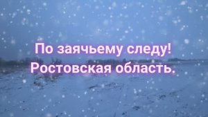 По заячьему следу! Ростовская область..mp4