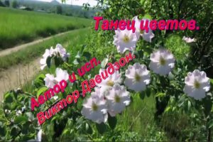 Танец цветов