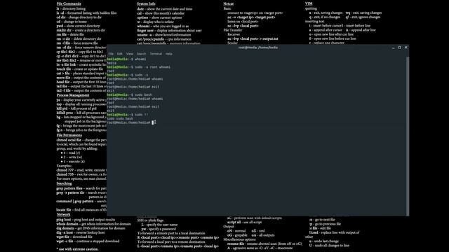 Introduction to Sudo - Unix Privilege Escalation for CLI commands! смотреть онлайн