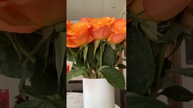 Прямой эфир с Матушкой Джайанти (Еленой Торсуновой) «Женская Красота» смотреть онлайн