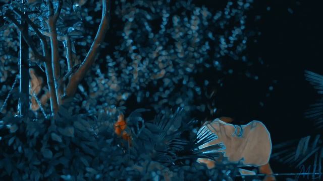 Кружева/Бихтер & Бехлюль смотреть онлайн