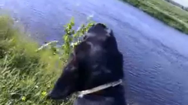 Фрида 1 река смотреть онлайн