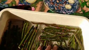 Осеннее черенкование роз после последней обрезки.