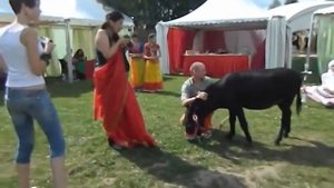 Купить ослика все будут в восторге