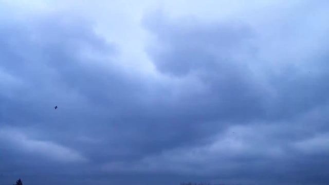#завербой#ходили