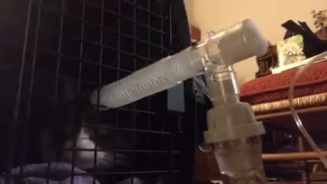 Nebulizing смотреть онлайн