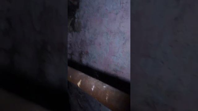 Рязань Дзержинского 14 смотреть онлайн