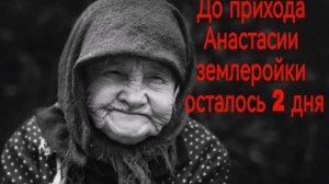 До прихода Анастасии Землеройки осталось 2 дня