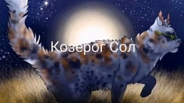 Тест кто ты из злых котов-Воителей. смотреть онлайн