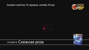 СЛ328016 Снежная роза
