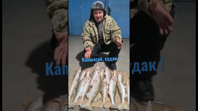 ЗИМНЯЯ РЫБАЛКА НА СУДАКА🎣продалжается на Капшагае !! #жетысу #fishingkz #талдыкорган #relaxfishing