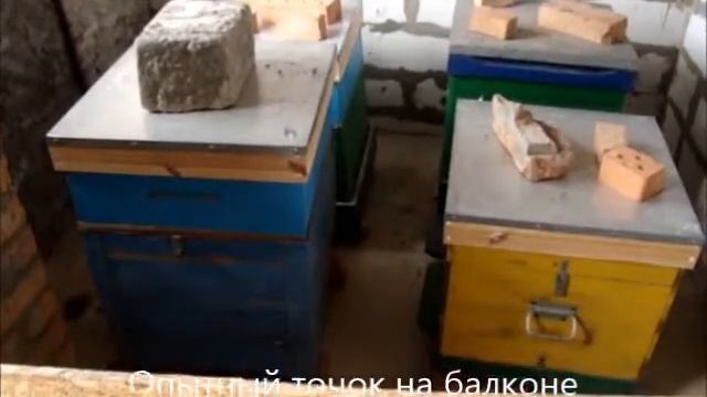 Подготовка пасеки к зиме смотреть онлайн